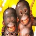 FunnY - Cucubau - Poze